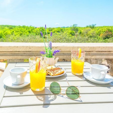 Guest House Marla Slivnica Экстерьер фото